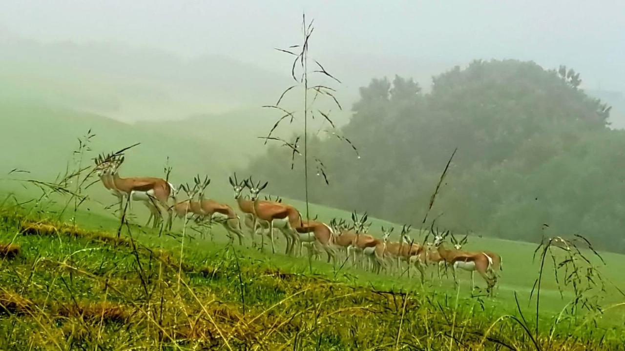 Oubaai Golf Estate Daire George Dış mekan fotoğraf